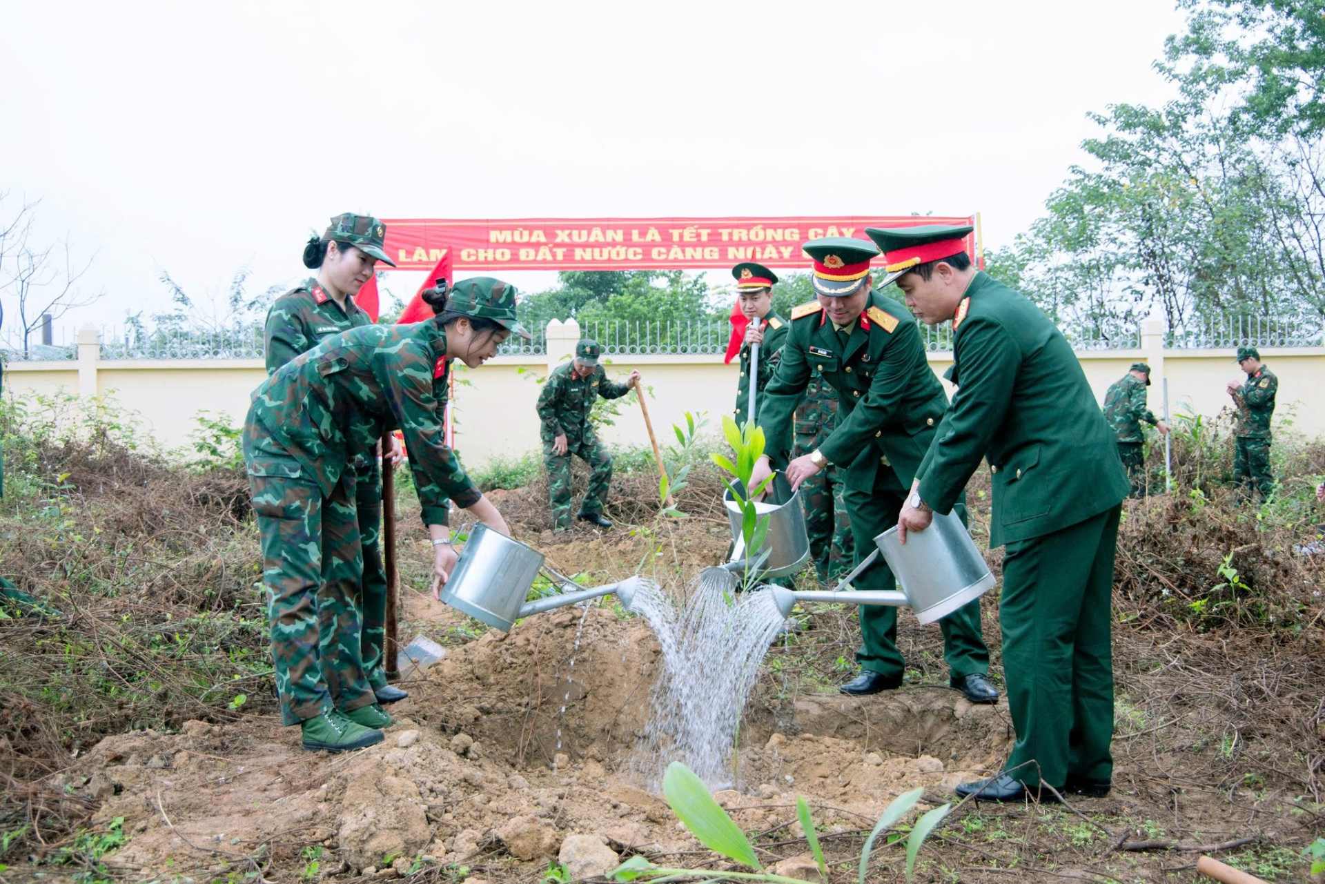 Trường Trung cấp Kỹ thuật Tăng thiết giáp tổ chức “Tết trồng cây đời đời nhớ ơn Bác Hồ” Xuân Bính Ngọ năm 2026