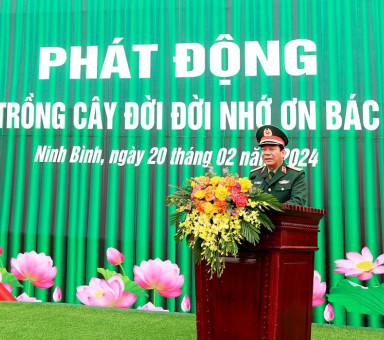 phat-dong-tet-trong-cay-doi-doi-nho-on-bac-ho